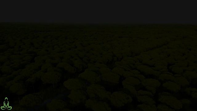 Расслабляющая музыка для сна #4🌿Звуки леса - Щебетание - Успокаивающая музыка снимает стресс смотреть онлайн