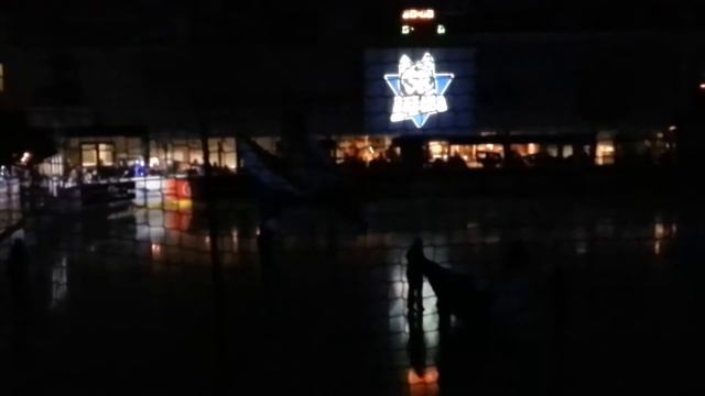 You will never walk alone, Kassel Huskies vs Füchse Duisburg смотреть онлайн
