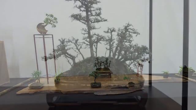 1st UK Association Bonsai Show Mame exhibits смотреть онлайн