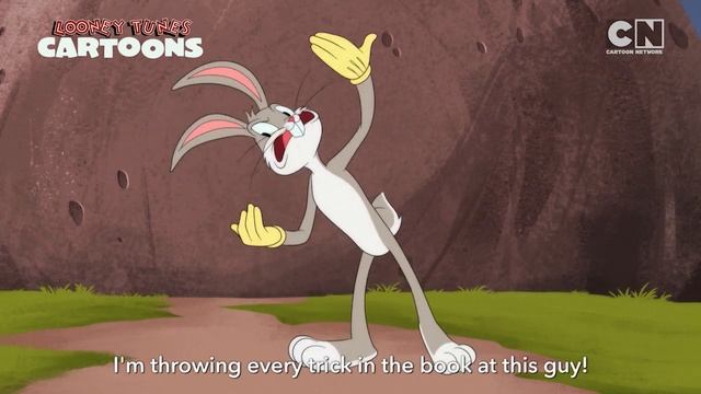 Looney Tunes | All Star Episodes | Cartoon Network