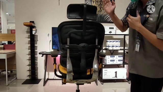 Review Product Ergohuman Gaming Chair Part 1