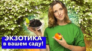 5 ДИКОВИННЫХ РАСТЕНИЙ ДЛЯ САДА, которые скупают тысячами в последние годы! Вырастут и у вас!