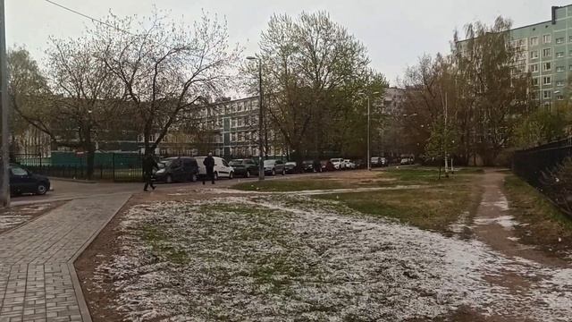 Снег в Питере, 5 мая 2023. #сашакира смотреть онлайн
