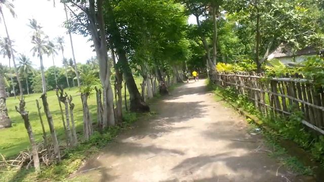 Индонезия янв 2013 - По острову Гили Эйр.mp4 смотреть онлайн