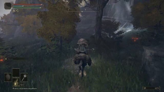 ИМБОВЫЙ ЩИТ ДЛЯ НОВИЧКА В ELDEN RING | ПАНЦИРЬ БОЛЬШОЙ ЧЕРЕПАХИ | Щиты Elden Ring смотреть онлайн