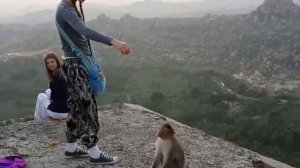 Как дрессировать обезьян ! Путешествие в Индию - 8