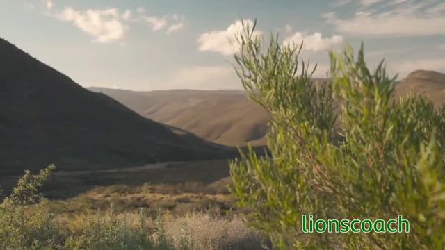 Dr.Joe Dispenza - Fullmoon Meditation #drjoedispenza #fullmoonmeditaion #meditation смотреть онлайн