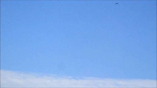 Михайлов Михаил - Летят стрижи смотреть онлайн