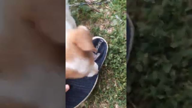 Творческий Путь к Удовлетворению