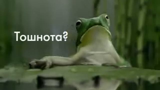 Рекламный ролик Мотилиума смотреть онлайн