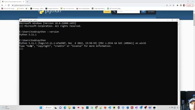 How to tell what version of the Python interpreter is installed смотреть онлайн