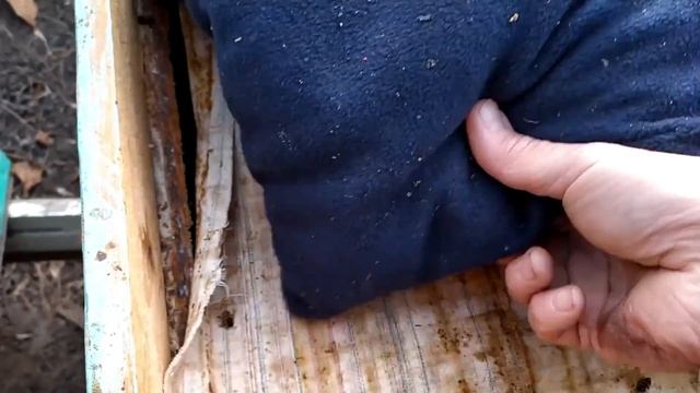 Пчеловодство.Зимний осмотр пчелосемей (27.01.2020г.)