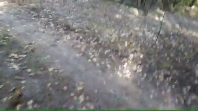3 "часть " по збору грибов смотреть онлайн