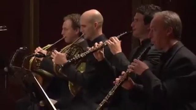 W.A.Mozart Flute Concerto in D Major,KV 314/Adriana Ferreira смотреть онлайн