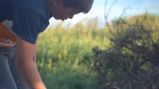 Волга 2020. Рыбинск - Ярославль. Поход с двумя ночёвками. 2 каяка и байдарка Вега 1У смотреть онлайн