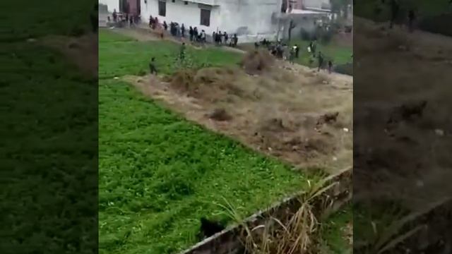 Helpless смотреть онлайн
