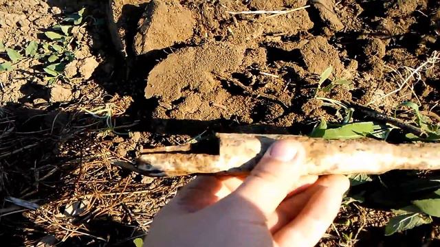 Поиск с металлодетектором по Донской Степи. Часть 1. (Коп по старине.) смотреть онлайн