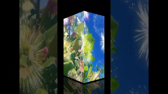 Радуга праздника