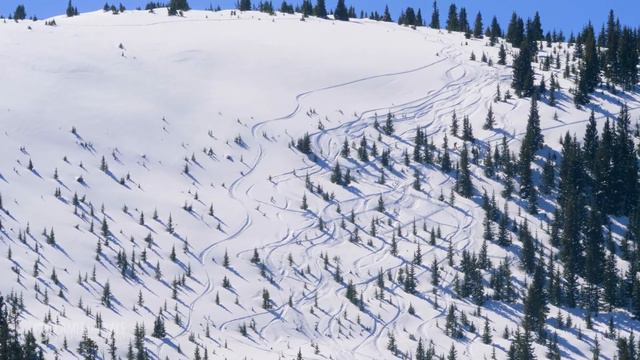Bernard Hut Trip | March 2020 | Full Edit смотреть онлайн