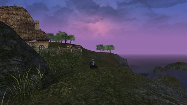 Lineage 2 cottage near Giran Harbor from night to day смотреть онлайн