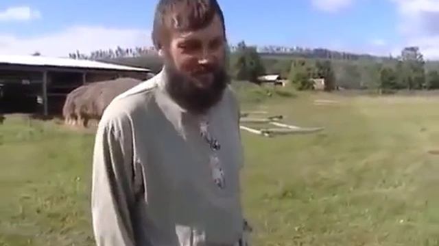 Таежные отшельники смотреть онлайн