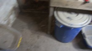 Черная львинка, продажа продолжается.