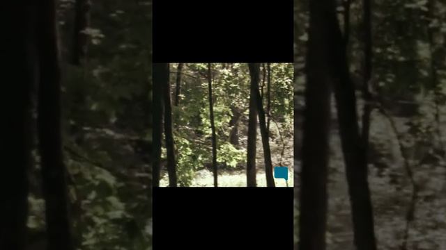 El caso de LINDA PEREZ 3 [abducciones] смотреть онлайн