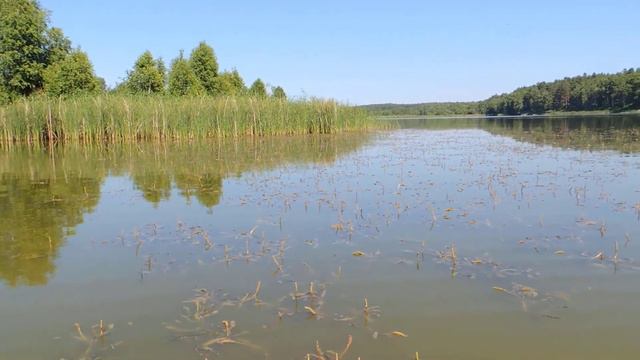 Фотоохота на озере Кутужеково смотреть онлайн