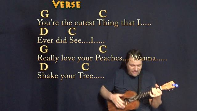 The Joker (Steve Miller) Bariuke Cover Lesson in G with Chords/Lyrics смотреть онлайн