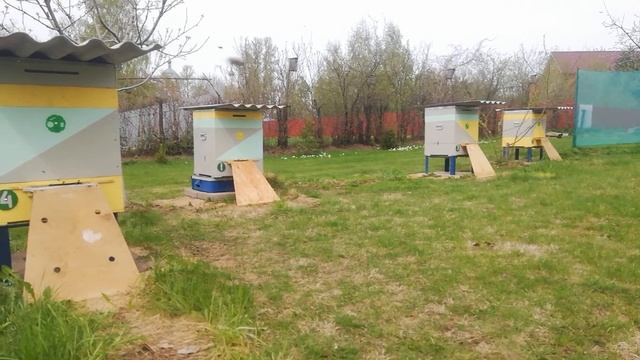 Пасека начинающего пчеловода смотреть онлайн