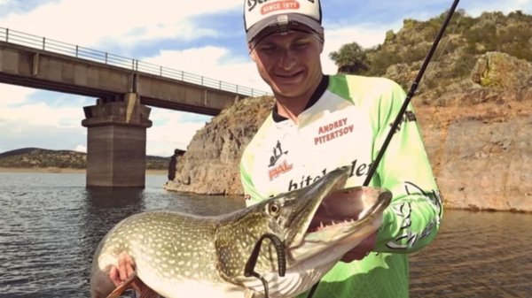 Трофейная щука на джиг. Keitech Mad Wag - убойная приманка для ловли трофейной рыбы!