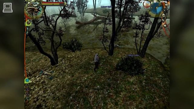 The Witcher Gameplay ATI Radeon X700 Pro смотреть онлайн