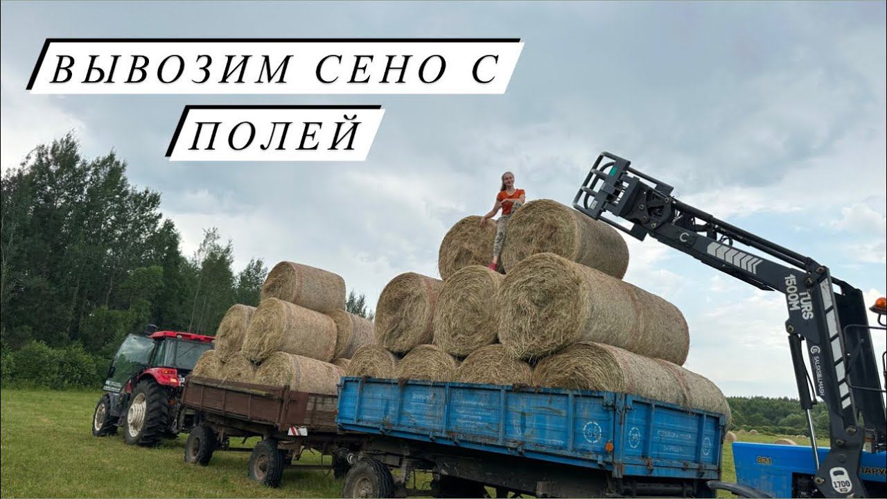 Фермерские будни в полях! Отгружаем сено покупателям! Как мы столкнулись с воровством рулонов… смотреть онлайн