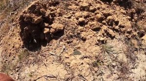 От этой находки я в восторге! Коп в калмыкии. Часть 3. Обзор находок