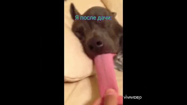 Я после дачи: смотреть онлайн