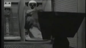 Чудовищные эксперименты Гарри Харлоу с обезьянами (перевод) 16+