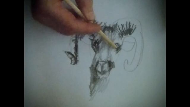 Рисование козла goat смотреть онлайн