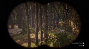 Превосходная Шкура Пантеры. Red Dead Redemption 2.