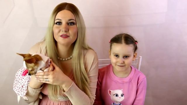 День рождения Лолиты. Как приучить собаку к туалету, стричь когти, чистить зубы, командам. смотреть онлайн