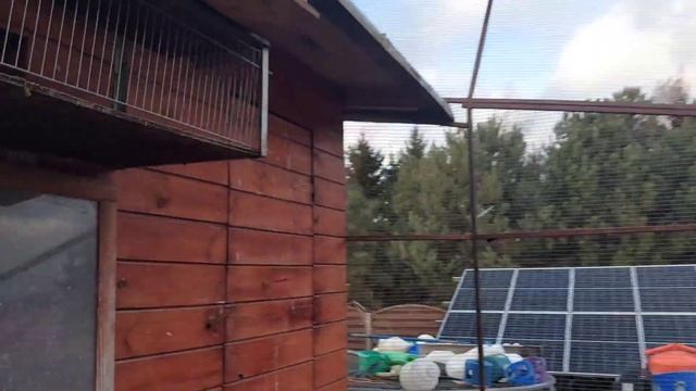 Bomba lot w silny wiatr białych ? Kontener wioze do portu ??? смотреть онлайн