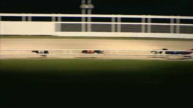 King Elvis - Gain Gta Trainers Championship Standard C смотреть онлайн