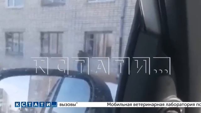 Администрация выселила алкоголика, который организовал притон в квартире, но суд вернул его обратн смотреть онлайн