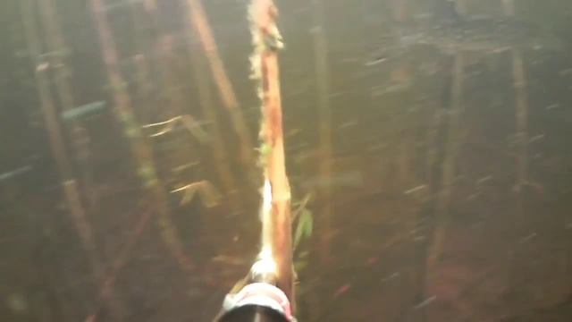 Подводная охота в Архангельской области смотреть онлайн