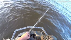 Рыбалка сетями или промысловый лов рыбы. Крупная рыба в крупные сети. Богатый улов! Видео 2020.