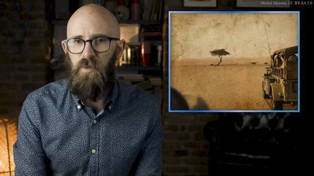 Surviving the Sahara Desert with the World's Loneliest Tree смотреть онлайн