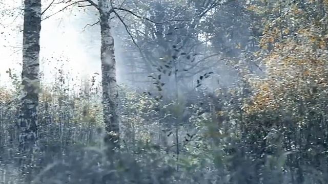 «что-то тебя связывает с нечистой силой» смотреть онлайн