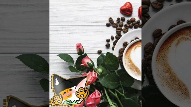 Советы для начинающих Квшников! Как не стать сью, и кто они вообще такие? смотреть онлайн