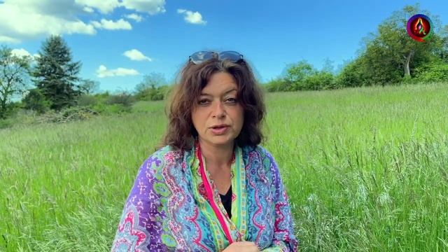 Шалфей луговой — шалфей полевой применение | Трава шалфей лечебные свойства, польза