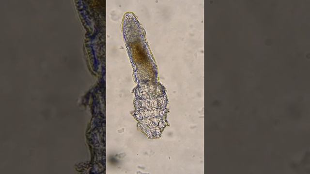 Искусство и Таланты