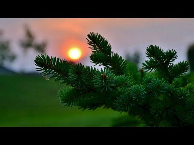 идём в гости к моей знакомой. смотреть онлайн